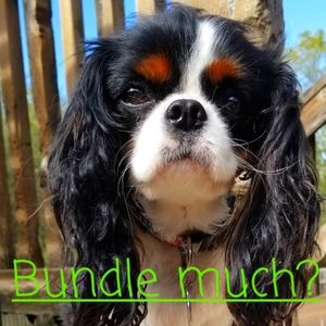 I'll give you a discount!